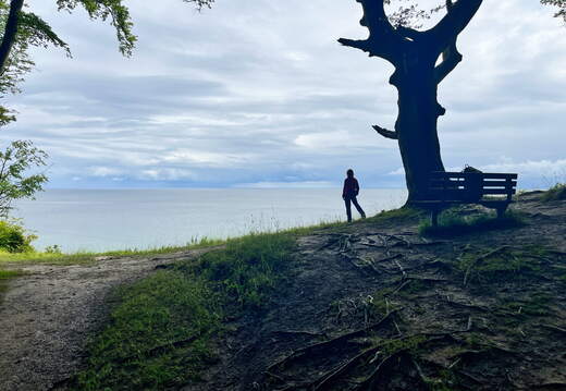 24-07-02 13-00-30 0113